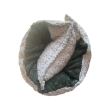 Load image into Gallery viewer, Olive poodle Nap Mat - all minky
